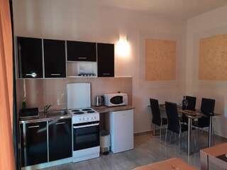 Апартаменты Apartmani Vila Aleksandar Будва Апартаменты с 1 спальней-3